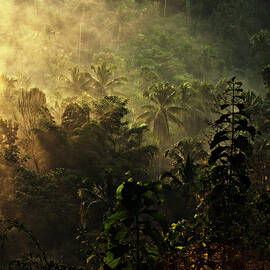 ..... The Atmosphere Of The Morning ..... by Johanes Januar