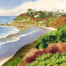 Beach at Swami's Encinitas by Mary Helmreich