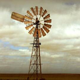 Catch the Wind by Holly Kempe