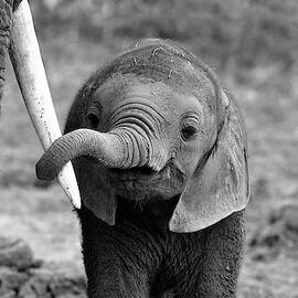 Close by Bjoern Alicke