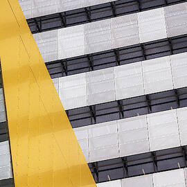 Continuation by Jacqueline Hammer