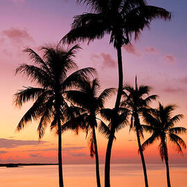 Florida Breeze by Chad Dutson