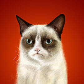 Grumpy Cat by Olga Shvartsur