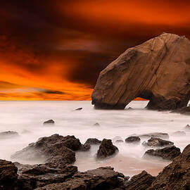 Imagine by Jorge Maia