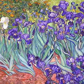 Purple Irises Art Print by Vincent Van Gogh - Masterpieces Of Art
