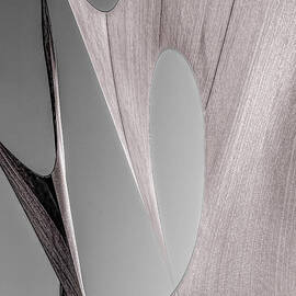 Sailcloth Abstract Number 2 by Bob Orsillo Studio d'artista