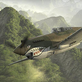 P-40 -- Strangely Elusive by Robert D Perry