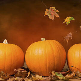 Three Pumpkins by Amanda Elwell