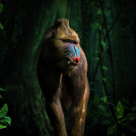 Trees And Beasts! by Isma Yunta