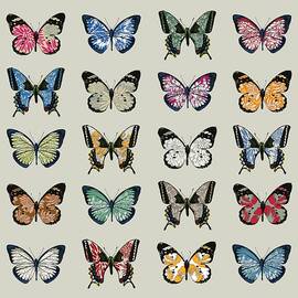 Papillon by Sarah Hough