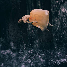 forest floating by Anka Zhuravleva