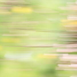 Rectangulism - s04a by Variance Collections