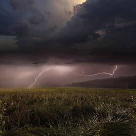 Summer Lights by Franz Schumacher