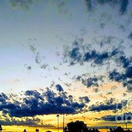 Sunset by Zshop -