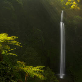 Morning Stream by Jerrywangqian