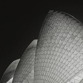 Rafters And Curves by Mathilde Guillemot