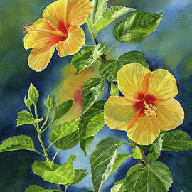 Tropical Yellow Orange Hibiscus with Background by Sharon Freeman