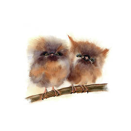two cute owls by Olga Tchefranov