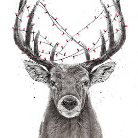 Xmas deer by Balazs Solti