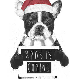 Xmas is coming by Balazs Solti