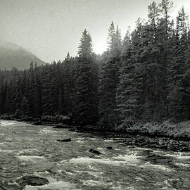 A Mountain Stream Neat Jasper