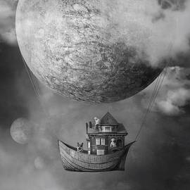 Ark by Beata Bieniak
