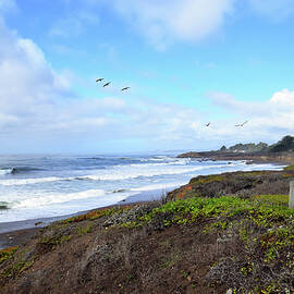 https://render.pixels.com/images/images-new-artwork/images/artworkimages/medium/3/boardwalk-moonstone-beach-cambria-california-barbara-snyder.jpg