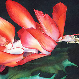 Bursting Open by Sandy Haight