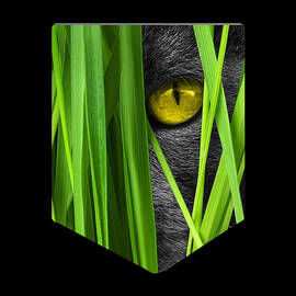 Cat Pocket Grass by Flippin Sweet Gear