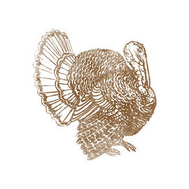 Retro Turkey by Flippin Sweet Gear