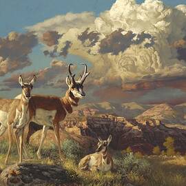 Summer Evening by Greg Beecham