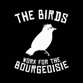 The Birds Work for the Bourgeoisie 1986 Robot Birds by Flippin Sweet Gear