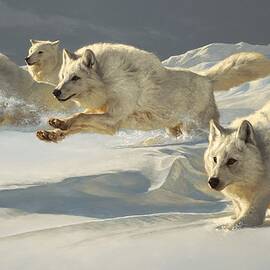 The Chase by Greg Beecham