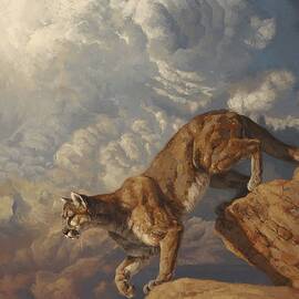 Thunderhead by Greg Beecham