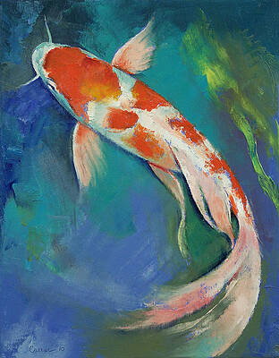 Kohaku Butterfly Koi by Michael Creese