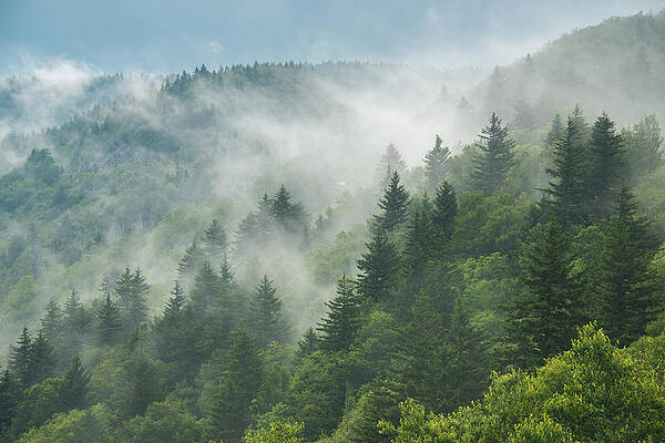 Rolling Clouds by Joye Ardyn Durham
