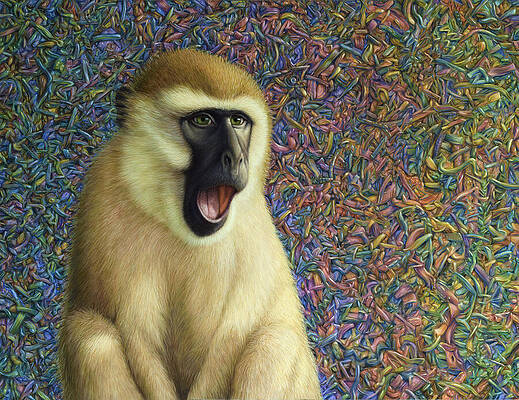 Contemplative Monkey with Colorful Background Wall Art