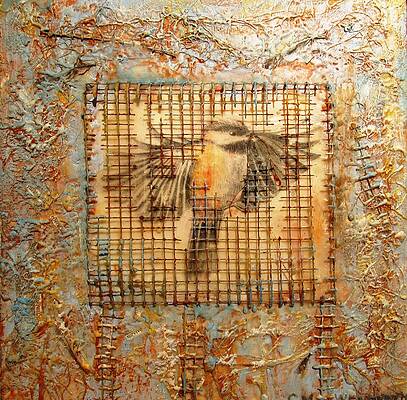 Transformation by Christine Wenderoth
