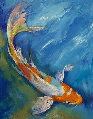 Yamato Nishiki Koi by Michael Creese