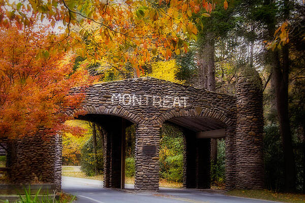 Autumn Gate by Joye Ardyn Durham