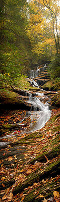 Roaring Fork Falls by Joye Ardyn Durham
