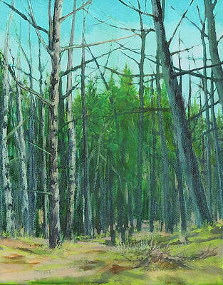 Landscape Wall Art for Sale by E Colin Williams ARCA