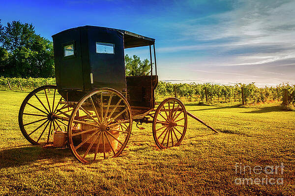 Old Horse Buggy 1 by Robert Alsop