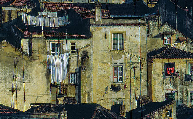 Red Shirts by S Katz