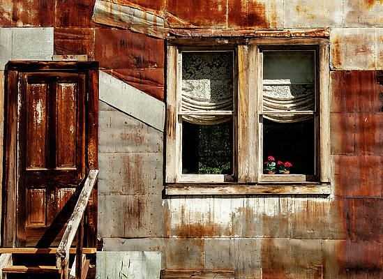 Three Red Roses in the Window by S Katz
