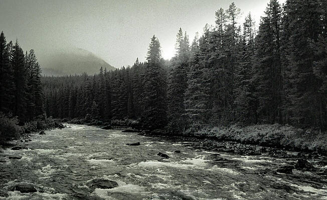 A Mountain Stream Neat Jasper by S Katz