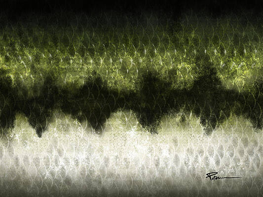 Bass Scales by Kevin Putman