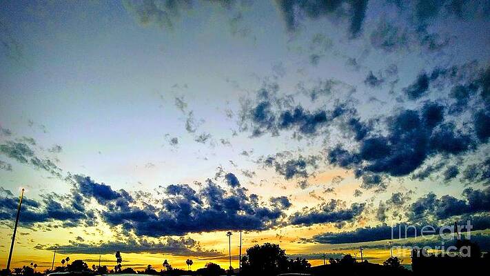 Sunset by Zshop -