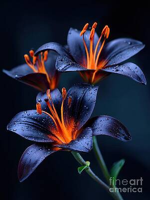 Vibrant Lilies in Bloom by Lauren Blessinger