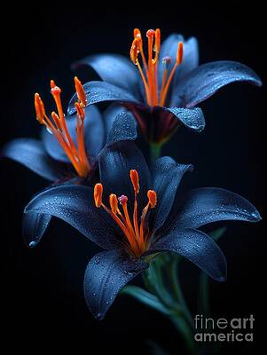 Vibrant Lilies in Focus by Lauren Blessinger